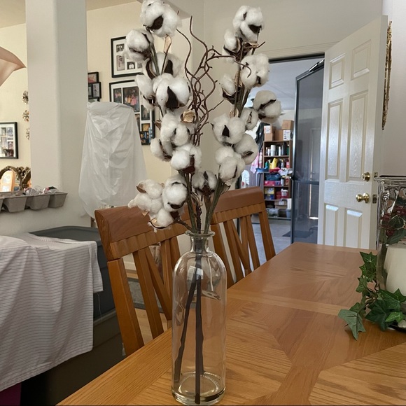 Other - Glass Vase with Cotton Stems